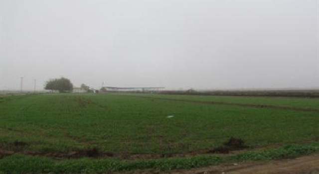 Photo of 21150 Elgin Ave, Lemoore, CA 93245