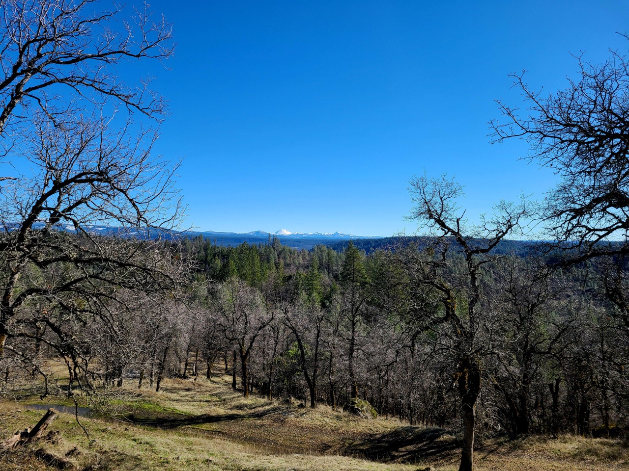 93 Acres Backbone Rd Bella Vista CA 96008 MLS 23 140 Redfin 93-acres-backbone-rd-bella-vista-ca-96008-mls-23-140-redfin