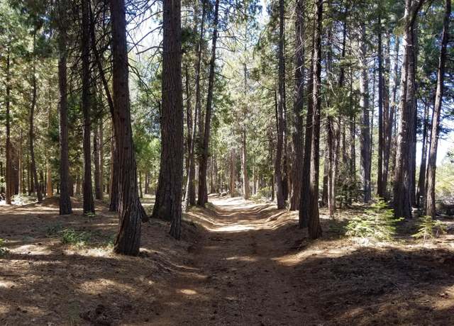 Property at LOT 1 Eckert Ln, Shingletown, CA 96088