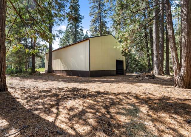 Property at 32995 Alinn Pass Rd, Shingletown, CA 96088