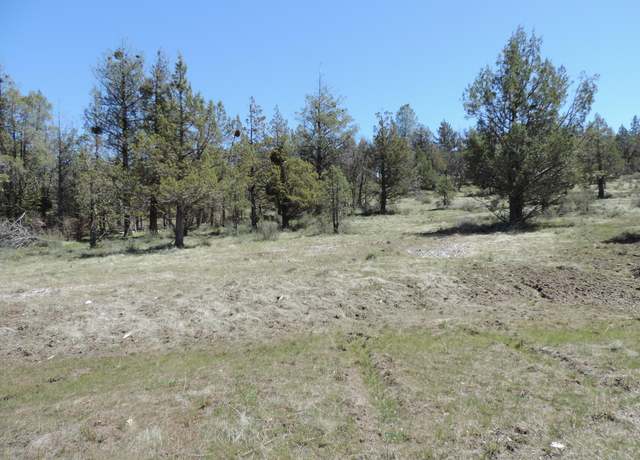 Property at Lot 48 Natchez Ct, Fall River Mills, CA 96028