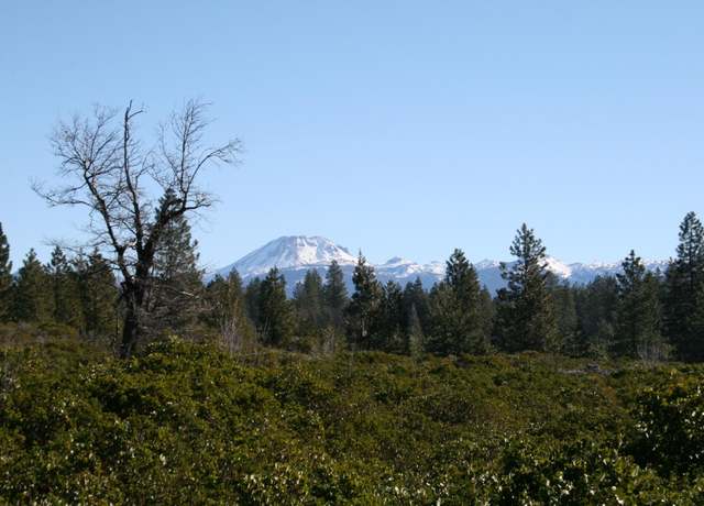 Property at Undisclosed address, Shingletown, CA 96088