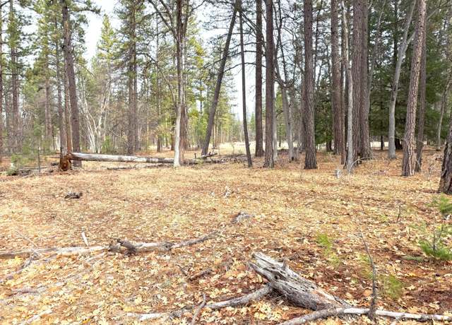 Property at Vanishing Pines Rd, Fall River Mills, CA 96028