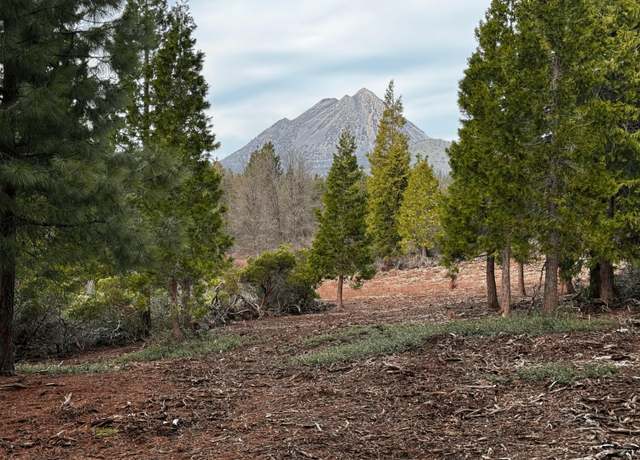 Property at S Mt. Shasta Blvd, Mount Shasta, CA 96067