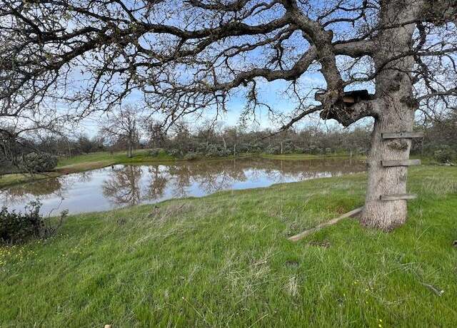 Property at 120 ACRES Golden Oak/lawndale, Cottonwood, CA 96022