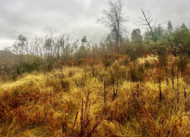 Property at California St, Redding, CA 96001