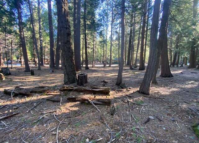 Property at Douglas Fir Ct, Shingletown, CA 96088