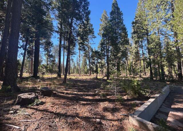 Property at 7596 Long Hay Flat Rd, Shingletown, CA 96088