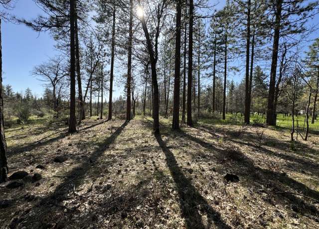 Property at Day Rd, Mcarthur, CA 96056