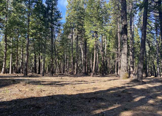 Property at Whispering Winds Ct, Shingletown, CA 96088