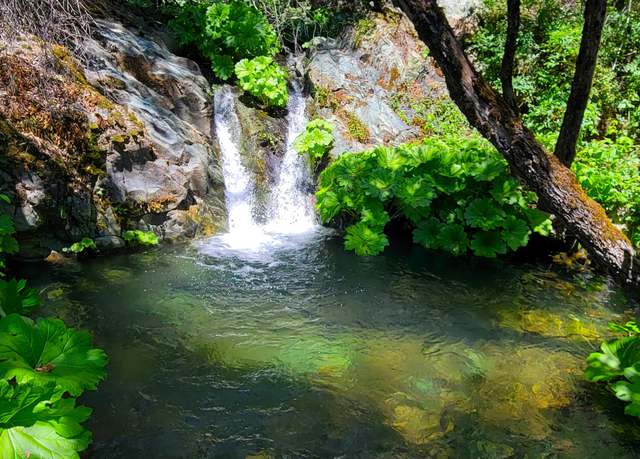 Property at 000 Grizzly Gulch Rd, Whiskeytown, CA 96095