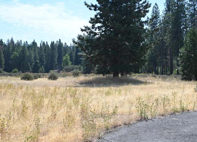 Property at 00000 Long Leaf Ln, Burney, CA 96013