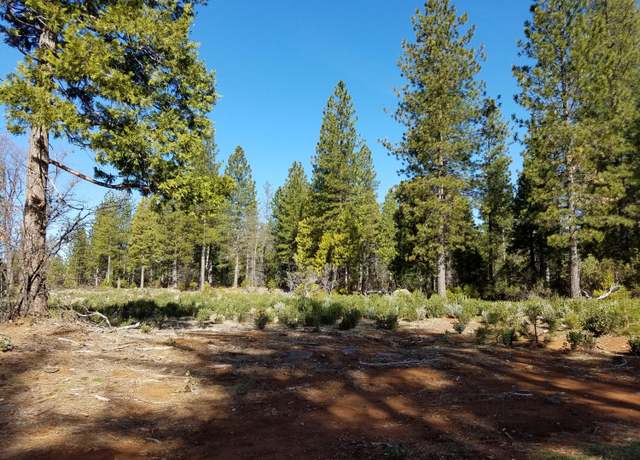 Property at Lot 32 Shingle Glen Trl, Shingletown, CA 96088