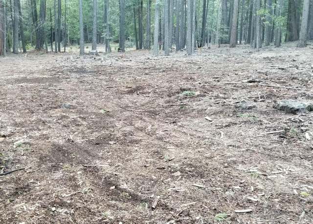 Property at Lake Mccumber Rd, Shingletown, CA 96088