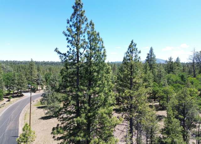 Property at 0000 Shoshoni Loop, Fall River Mills, CA 96028