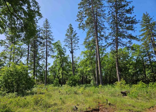 Property at 6.28 acres Highway 44, Shingletown, CA 96088