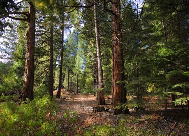 Property at 001 Ritts Mill Rd, Shingletown, CA 96088