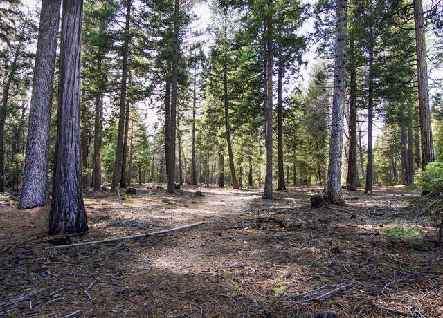 Property at 002 Ritts Ml, Shingletown, CA 96088
