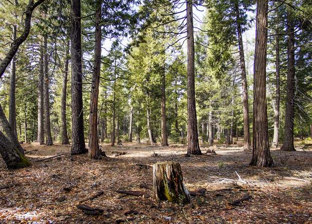 Property at 004 Ritts Mill Rd, Shingletown, CA 96088