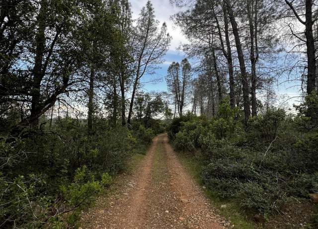 Property at 60-Acres Donkey Mine Rd, Oak Run, CA 96069