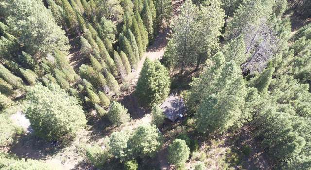 Photo of 18655 Seclusion Dr, Montgomery Creek, CA 96065