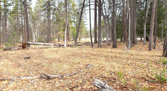 Photo of Vanishing Pines Rd, CA 96028