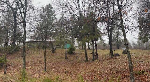 Photo of 19527 Rosa Ln, Montgomery Creek, CA 96065