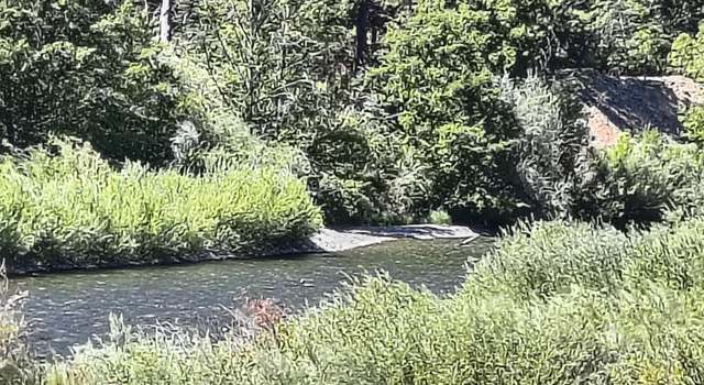 Photo of 299W 299 West, Junction City, CA 96048