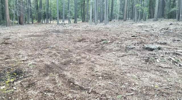 Photo of Lake Mccumber Rd, Shingletown, CA 96088
