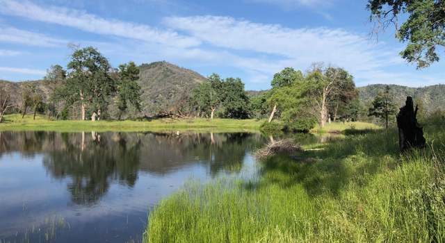 Photo of Zogg Mine Rd, Igo, CA 96047