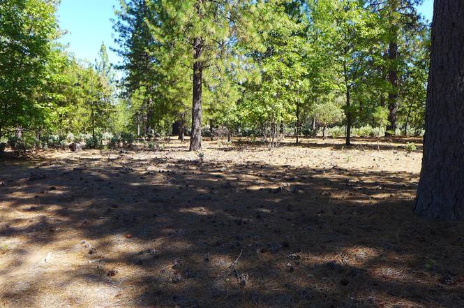 20-acres-backbone-rd-bella-vista-ca-96008-mls-23-3289-redfin