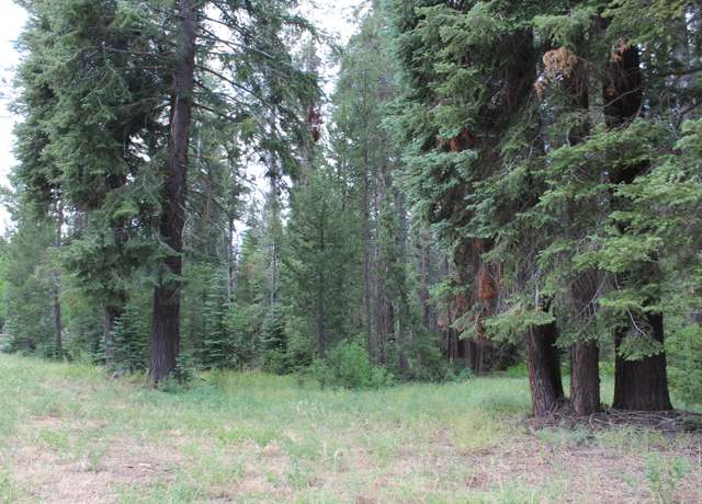 Property at 0 Aspen Dr, Ponderosa, CA 93265