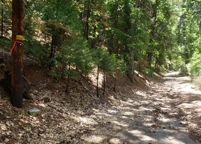 Property at 00 Upper River Ave St, Dunsmuir, CA 96025
