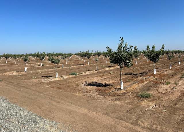 Property at Avenue 204, Strathmore, CA 93267