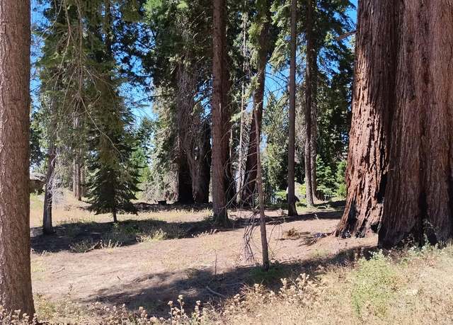 Property at 54534 Manzanita Dr, Sequoia Crest, CA 93265