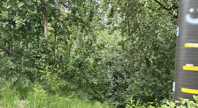 Photo of Lot 79 Manter Meadow Dr, California Hot Springs, CA 93207