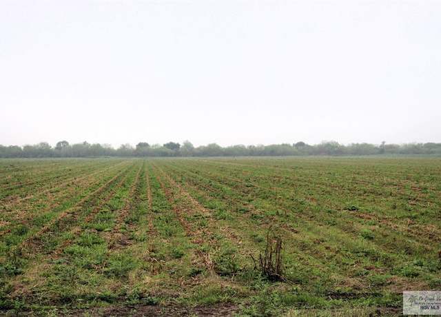 Property at 00 Fm 2556, Santa Rosa, TX 78593