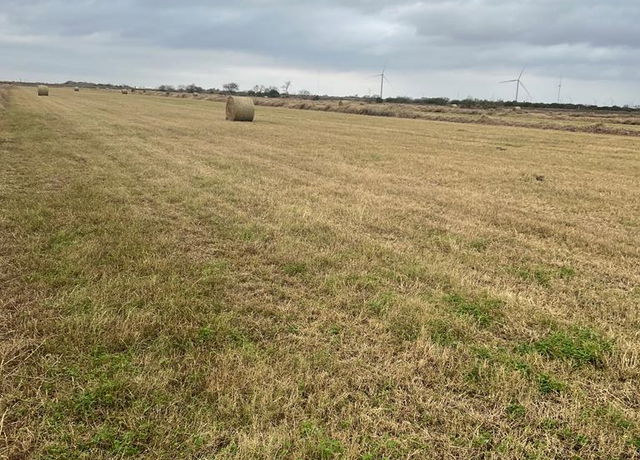 Property at 20 Acres Nelson Rd, Rio Hondo, TX 78583