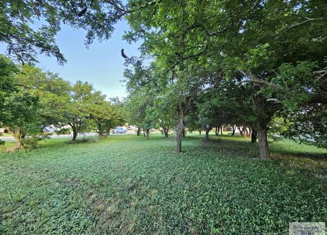 Property at 000000 Dragon Wick, Brownsville, TX 78520