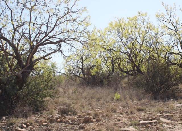 Property at 0 Hwy 67 Unit AB183, Ballinger, TX 76821