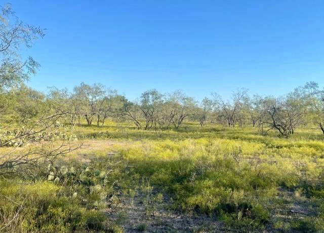 Property at 0 Fm 176, Eden, TX 76837