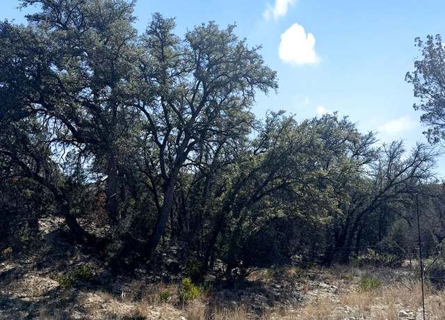 Property at TBD Fm 2083, Comstock, TX 78837
