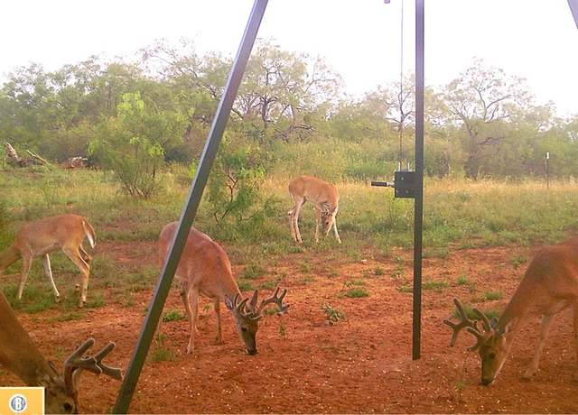 Property at Undisclosed address, Coleman, TX 76834