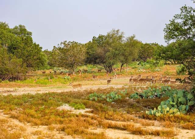 Property at N/A County Rd 102, Ozona, TX 76943