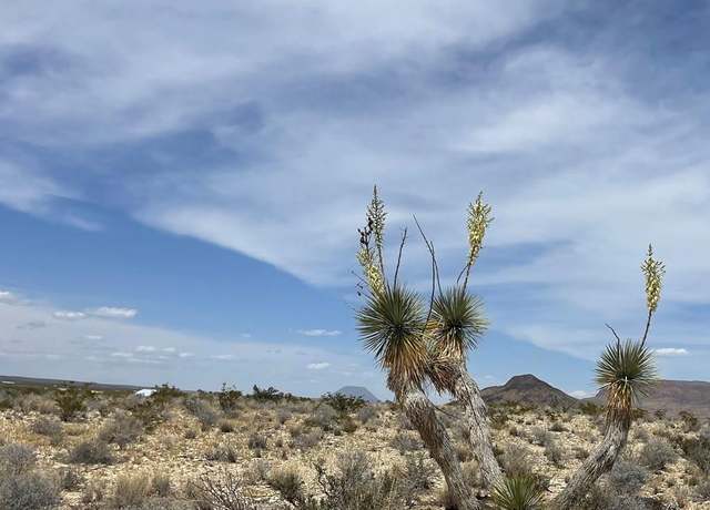 Property at G79 S Bad Bunny Rd, Terlingua, TX 79852