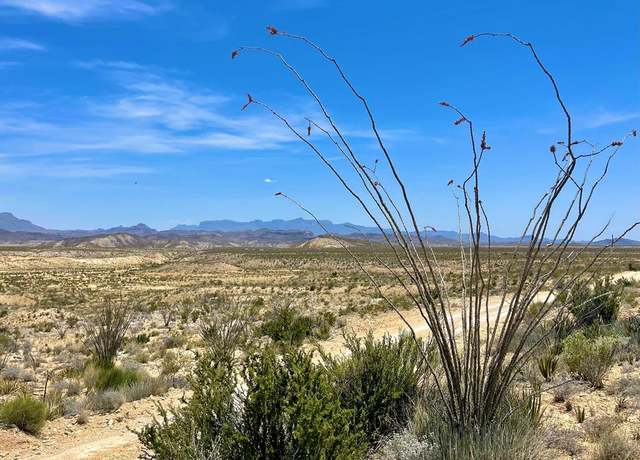 Property at TR 2423 Herman's Peak Rd, Terlingua, TX 79852