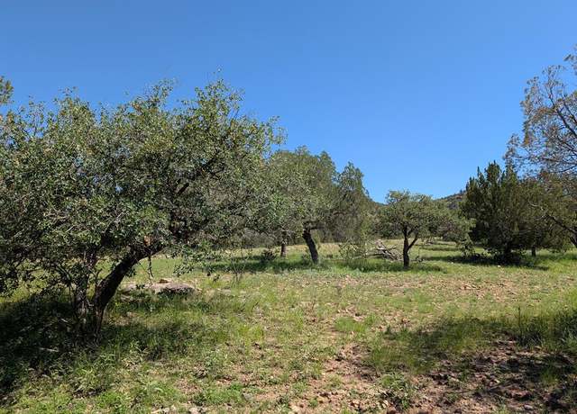 Property at 223 Squaw Valley Trl, Fort Davis, TX 79734