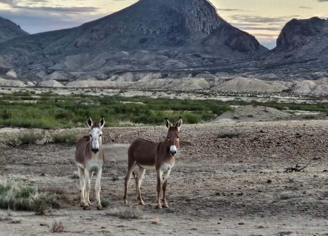 Property at 112 Victoria Dr, Terlingua, TX 79852