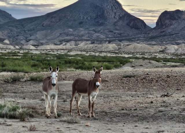 Property at 112 Victoria Dr, Terlingua, TX 79852