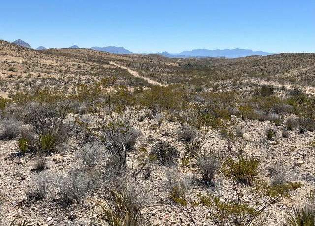 Property at 24310 Blue Ridge Rd, Terlingua, TX 79852